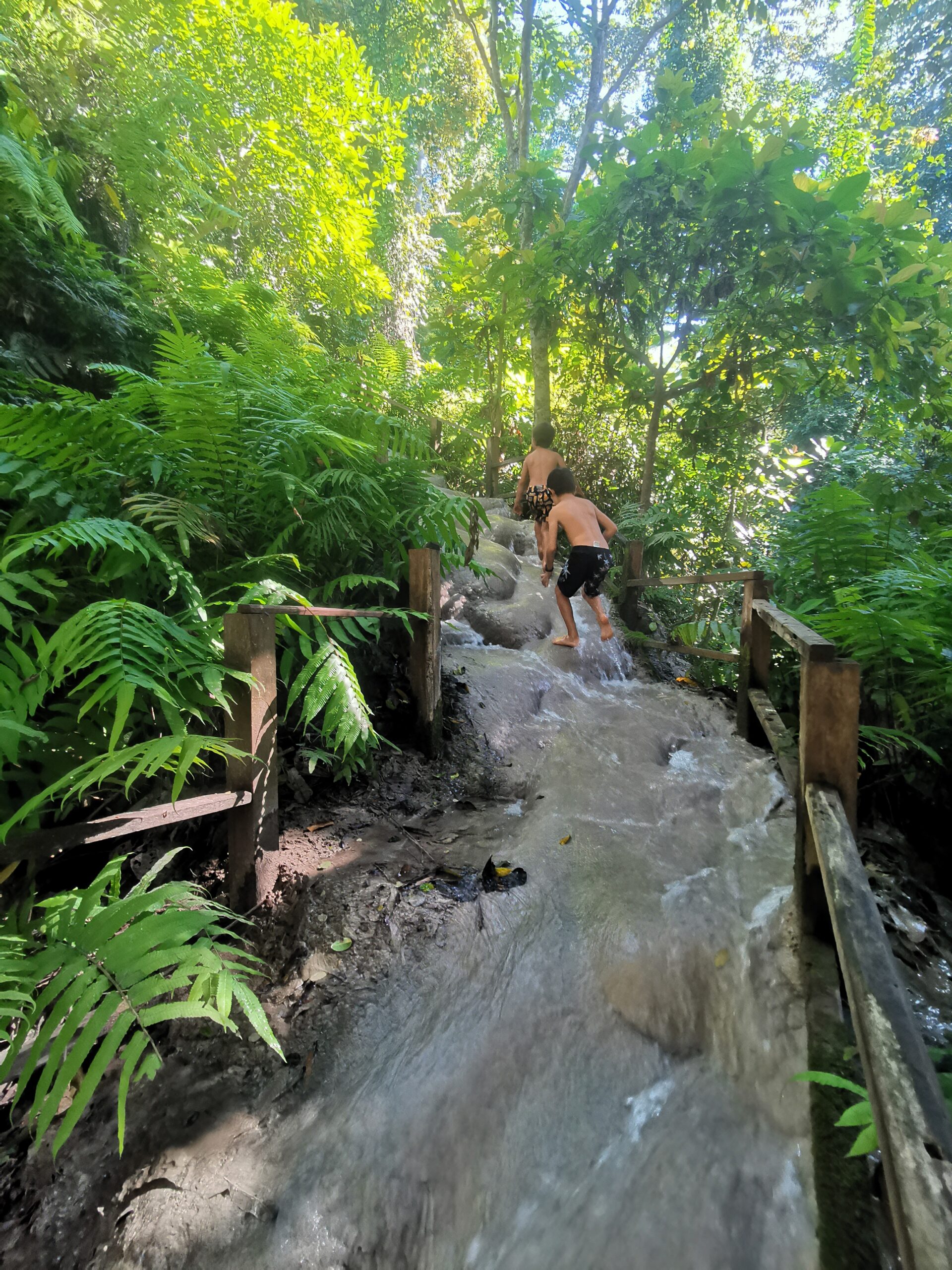 Bua Tong Sticky Waterfalls Chiang Mai - Off The Beaten Path With Kids